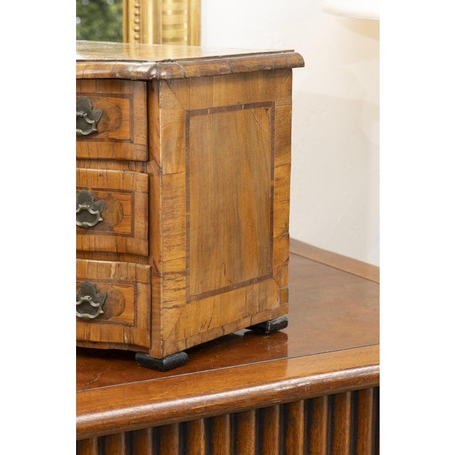Italian Baroque Walnut Specimen Chest For Sale - Image 4 of 7