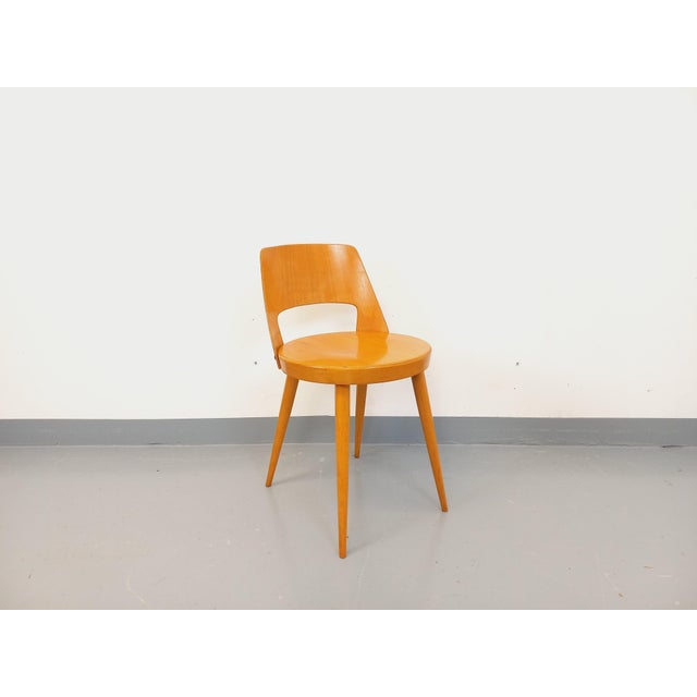 Vintage Mondor Chair by Baumann, 1960s For Sale - Image 12 of 12