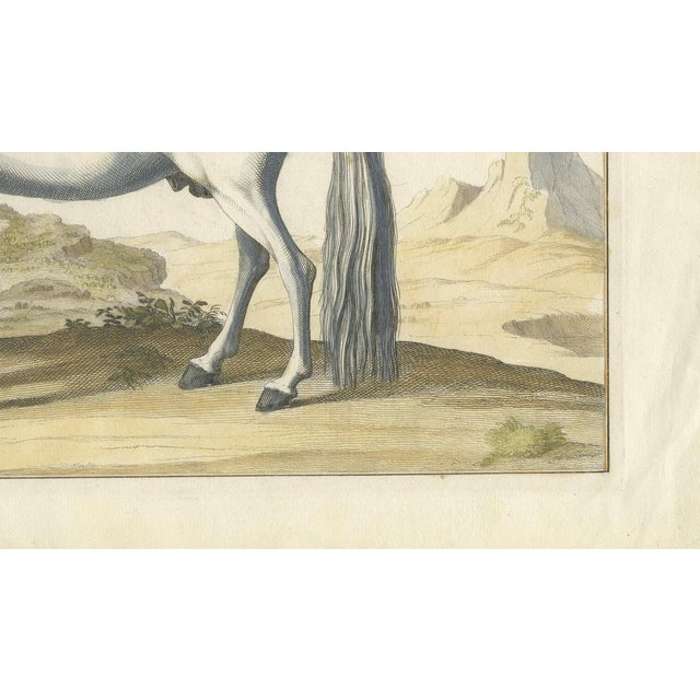 Baron Eisenberg, L'Arabe, 1727, Engraving For Sale - Image 6 of 11