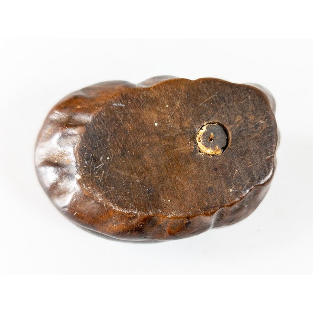 19th Century Carved Bulldog Form Snuff or Scent Box For Sale - Image 10 of 11