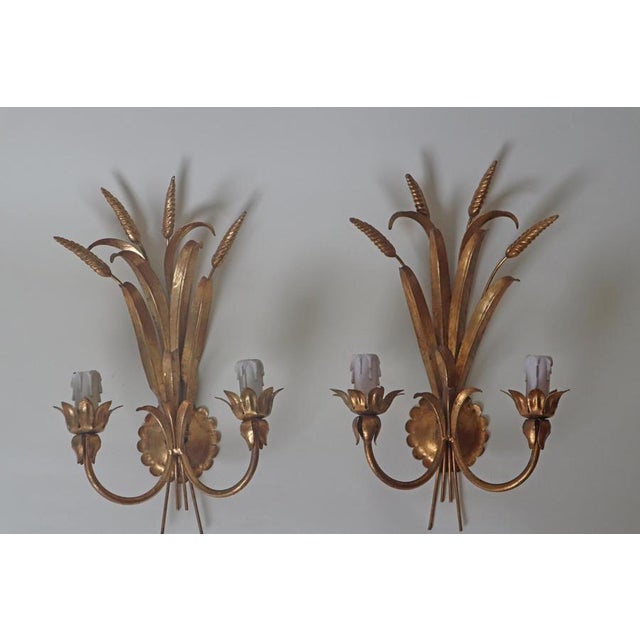 Hollywood Regency Golden Wall Lamp with Wheat Ears from Hans Kögl, 1960s, Set of 2 For Sale - Image 9 of 12