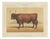 Olivier De Penne, West Highland Ox, Scottish Cattle, 1863, Chromolithograph For Sale