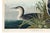 Black Great Northern Diver or Loon, Vintage Art Print Reproduction From Birds of America by John James Audubon, 30" X 20" For Sale - Image 8 of 10
