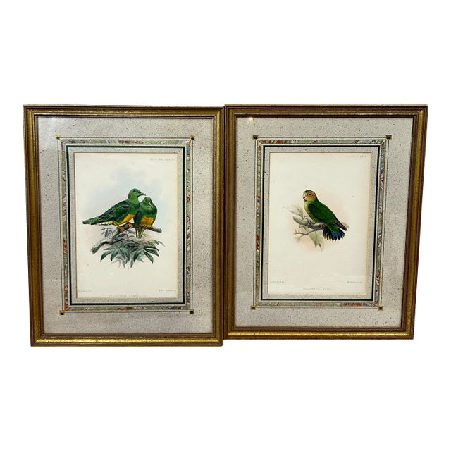 Antique Framed Bird Prints For Sale
