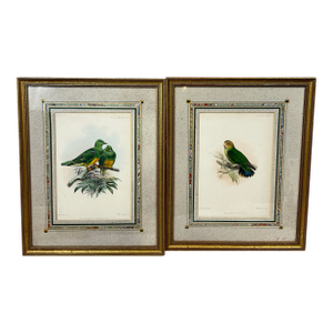 Antique Framed Bird Prints