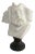 Neoclassical Marble Bust Statue After Francois Rude For Sale