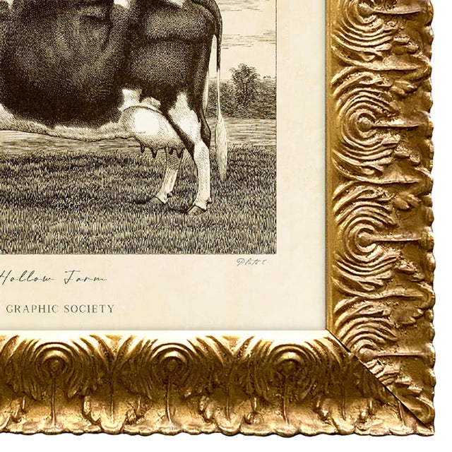 2020s Reproduction Art Print of Vintage Holstein Cow (1) in Ornate Gold Frame For Sale - Image 5 of 5