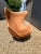 Designer : Arne Jacobsen Dimensions : H107 x W86 x D79 Color : orange Material : leather Style : design Fritz Hansen Egg...