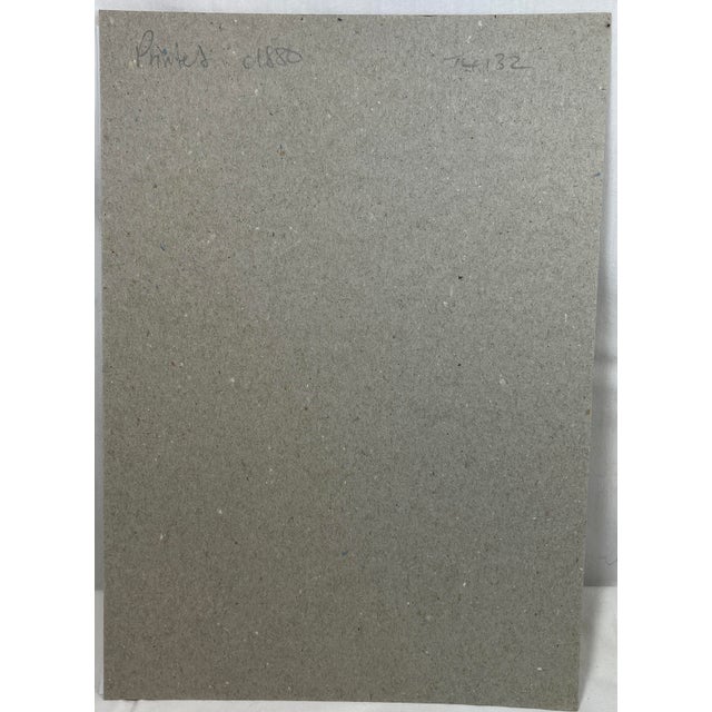 Antique Hand Tinted Bird Print From England Featuring a Red, Brown & Black Redpole - Circa 1880 For Sale - Image 12 of 12