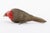 Sergio Bustamante Cardinal Sculpture For Sale - Image 10 of 10