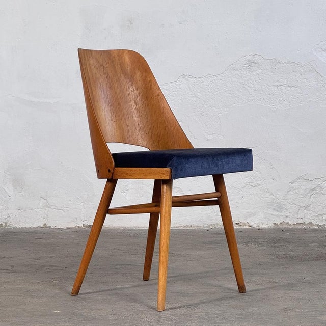 1960s Mid-Century Modern Dining Chairs by Radomír Hofman for Ton, 1960s, Set of 2 For Sale - Image 5 of 14
