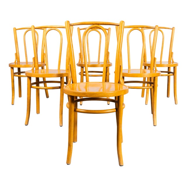 Vintage Bentwood Dining Chairs, 1970s, Set of 6 For Sale