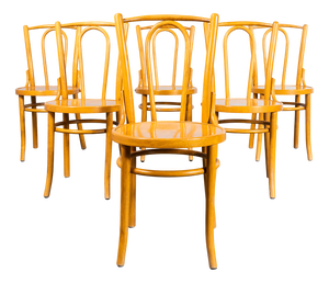 Vintage Bentwood Dining Chairs, 1970s, Set of 6