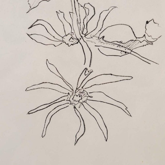 Wood Original Mourlot Floral Lithograph by Georges Braque, 1955 For Sale - Image 7 of 11