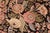 Shabby Chic Art Nouveau 1990's Pak-Persian Black/Pink Wool Rug - 6'0'' X 9'3'' For Sale - Image 3 of 9