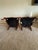 Wood Century Furniture #3217 Carved Occasional Armchairs With French Provincial/French Country Styling, Pair, Circa 1990s For Sale - Image 7 of 12