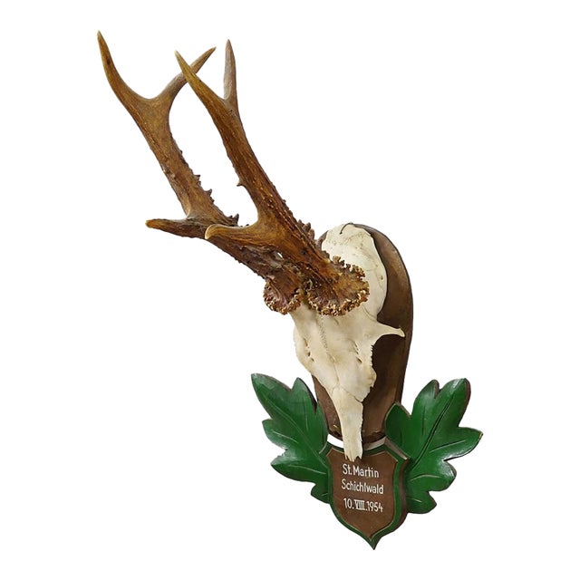 Great Black Forest Red Deer Trophy on Carved Plaque - Germany 1954 For Sale