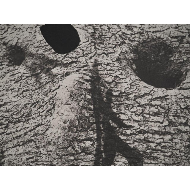 Pablo Picasso, Diurnes, The Deepest Silence, Original Phototype For Sale - Image 4 of 6