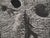 Pablo Picasso, Diurnes, The Deepest Silence, Original Phototype For Sale - Image 4 of 6