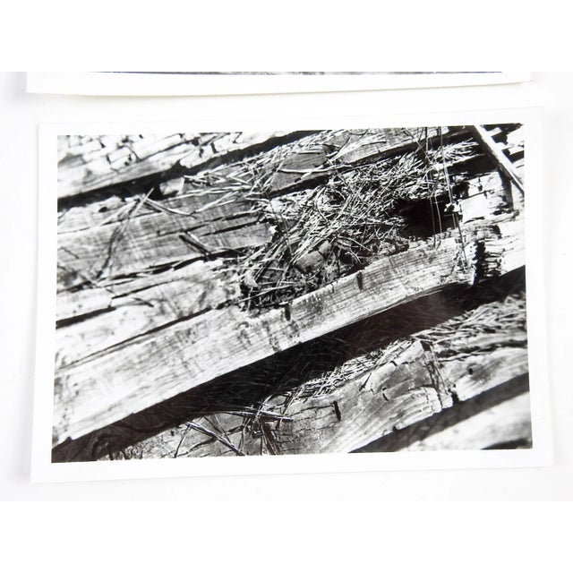 Contemporary Abstract Wood Photographs - a Pair For Sale - Image 3 of 4
