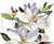 Original watercolor painting on canvas Artist: Elizabeth Becker Year: 2026 Size: 30" x 40" x 1" deep Signed on front...