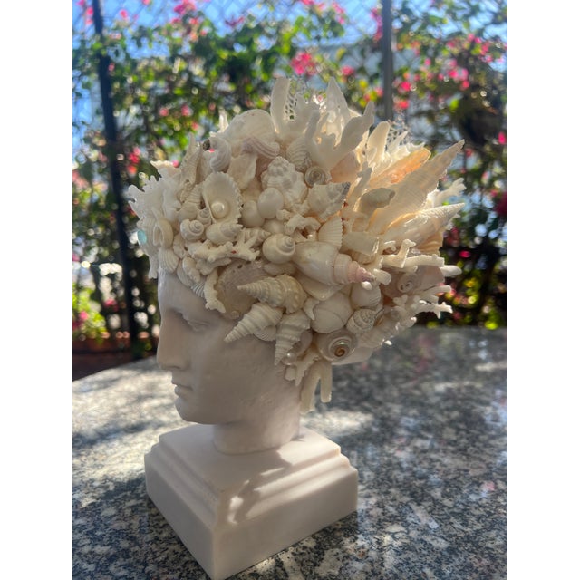 A dramatic shell encrusted head of Hygeia - the goddess of health & wellness. She has many special shells and pearls...