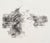 Paper Late 20th Century Female Portrait Charcoal on Paper For Sale - Image 7 of 9