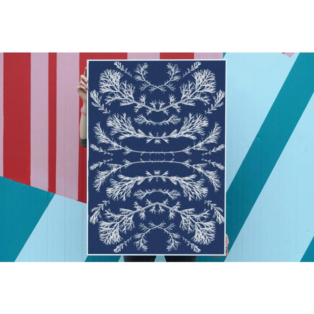 Mid-Century Modern "Vintage Pressed Flowers Nº2" Botanical Composition in Classic Blue, Original Cyanotype on Watercolor Paper 2020, Limited Edition 1/20 For Sale - Image 3 of 10