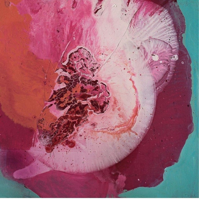 Agnieszka Zawisza, Flower, Oil on Canvas For Sale - Image 4 of 6