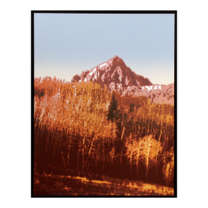1980s Scott Nellis "Mountain Meadow I" Signed & Numbered Serigraph Aspen Trees Obo