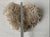 Late 20th Century Wall Mounted Table Coral Heart Shape Specimen For Sale In Pittsburgh - Image 6 of 6