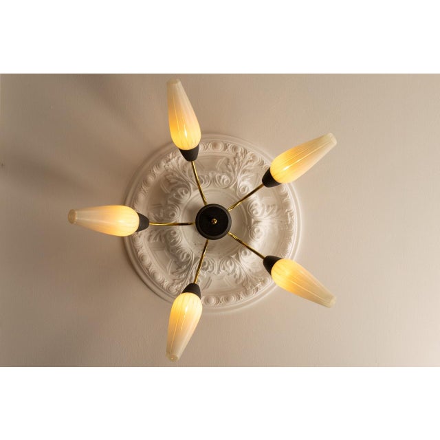 1950s Mid-Century Modern German Sputnik Chandelier, 1950s For Sale - Image 5 of 18