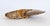 15th Century & Earlier Very Large Prehistoric Ancient Ammonite Fossil Specimen For Sale - Image 5 of 7