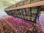 MCM Attributed to Richard McCarthy by Selrite Wrought Iron and Maple Couch For Sale - Image 9 of 10