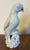 Chinoiserie Antique 18th Century Chinese Blanc De Chine White Porcelain Parrot For Sale - Image 3 of 18