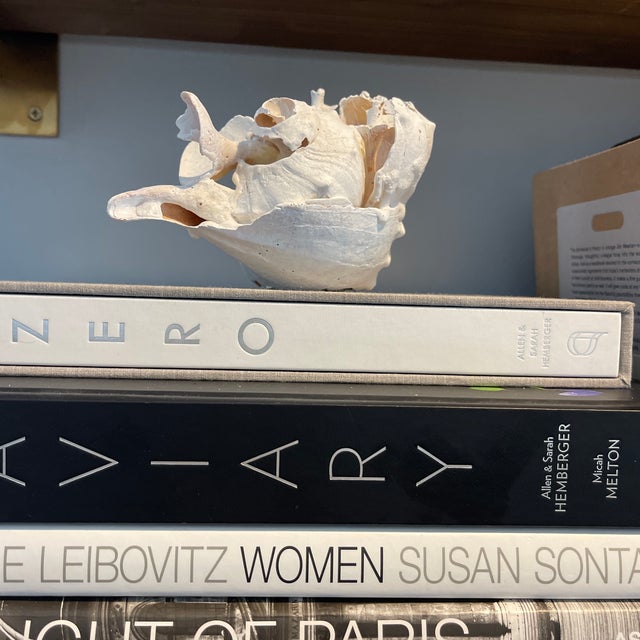 “Surrender, Beneath” 1/1 Signed by the Artist Cheryl Fudge. Modern Abstraction Hand Painted Nantucket Sculpture. For Sale - Image 10 of 11