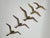 Metal Modernist Brass Wall Seagulls, 1960s, Set of 5 For Sale - Image 7 of 10