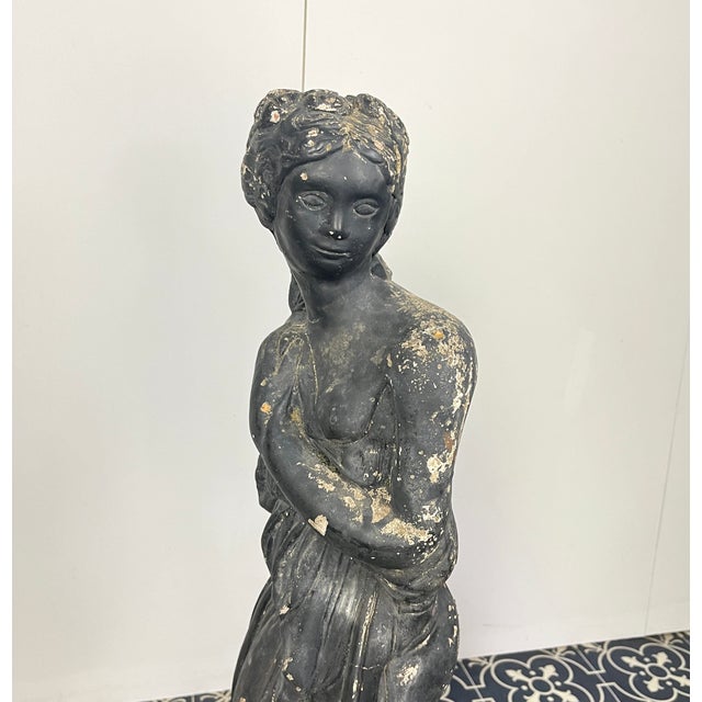 Black 19th Century Venus Italica Ebonised Garden Statue For Sale - Image 8 of 15