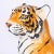 Mid 20th Century Vintage Italian Glazed Terra Cotta Tiger or Cat For Sale - Image 5 of 9