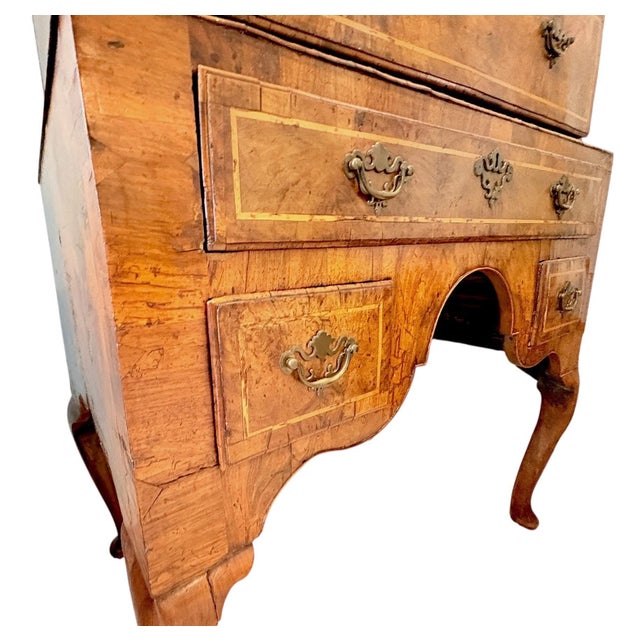 19th Century English Burled Walnut Highboy Chest on Stand For Sale - Image 14 of 18