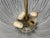 1960s Mid-Century Modern Carl Fagerlund, Tulip Chandelier, Molded Glass, Brass For Sale - Image 14 of 14