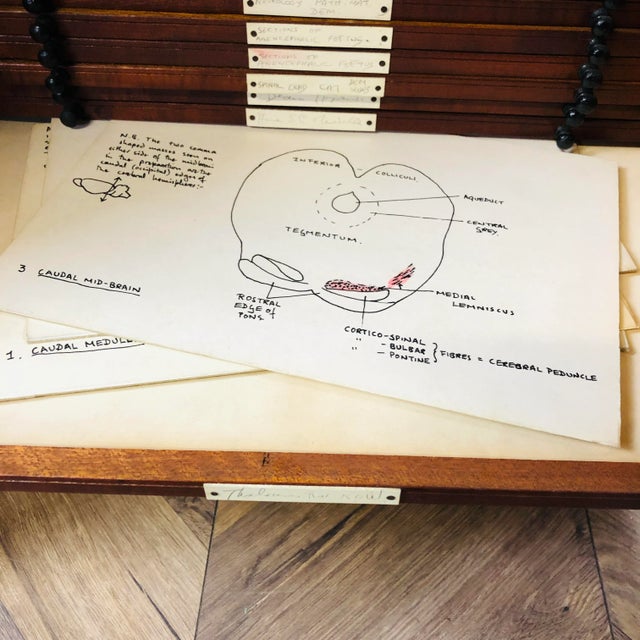 Antique Pine Medical Cabinet in the Style of Joseph Maina Mungai, 1900s For Sale - Image 6 of 18