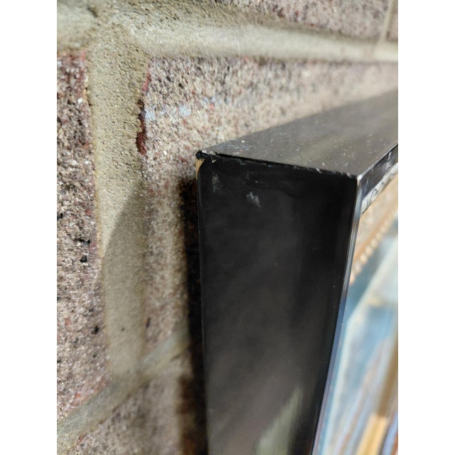 Late 19th Century Antique Etching by Johann J. Scheuchzer, After Prinz, "Aloe and Aquas", Framed For Sale - Image 9 of 11