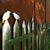 Modern Steel Garden Wall in Triptycon Stainless Steel Fence by Stefan Traloc For Sale - Image 3 of 4