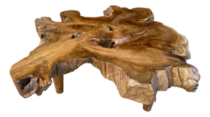 Andrianna Shamaris Amorphous Mid Century Style Coffee Table