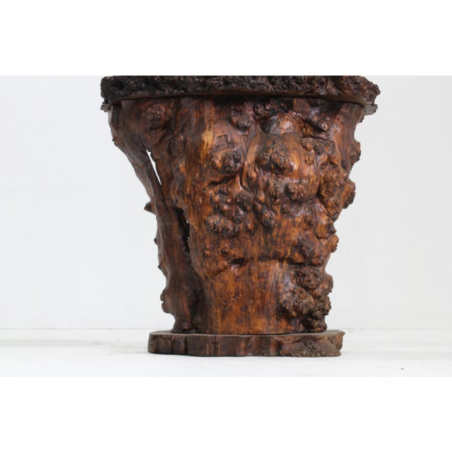 Brutalist tree trunk vintage bar carved from a single natural root. Can be used as console table or function as bar....