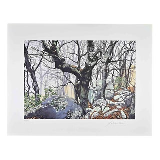 Rolandi (Maurizio Coccia), Magic Forest, Screen Print, 1970s For Sale