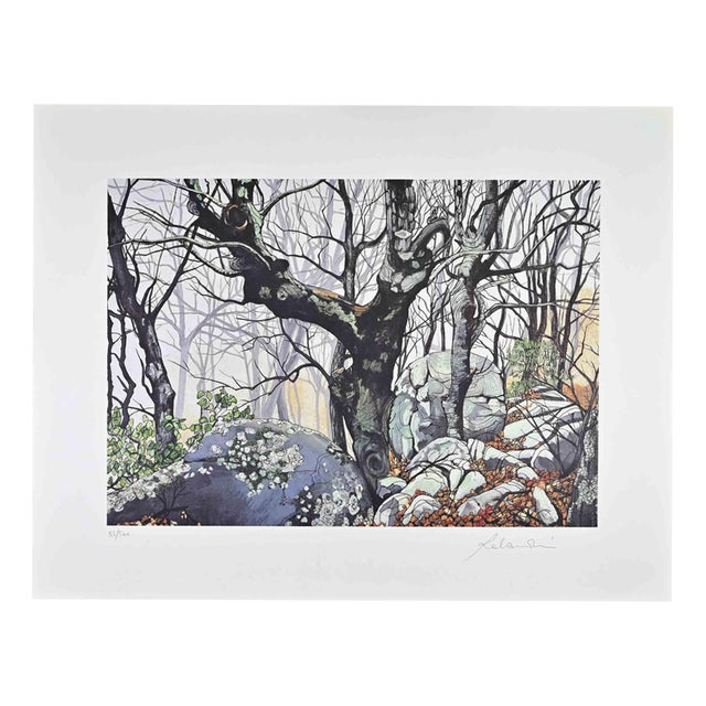 Rolandi (Maurizio Coccia), Magic Forest, Screen Print, 1970s For Sale