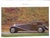 1990s "Fantastiques Bugatti" Book 1995 Sauzay, Maurice and De For Sale - Image 5 of 9