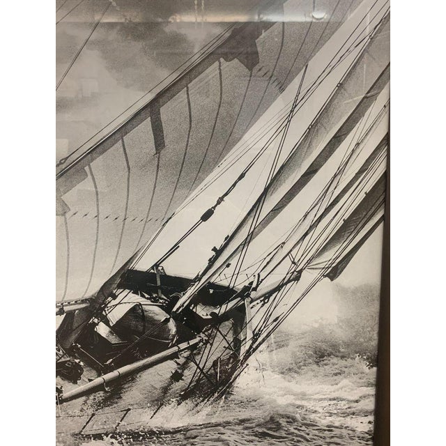 Realism 1920s Morris Rosenfeld “Nina” Photograph For Sale - Image 3 of 3